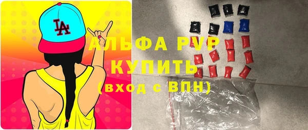 гашик Нефтекумск