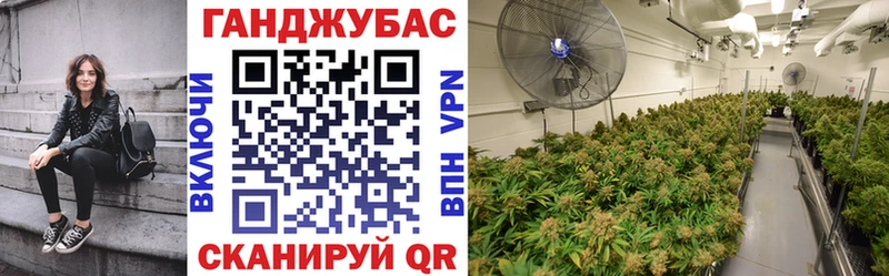 гидра онион  где купить наркотик  Высоковск  Канабис семена 